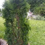 Remanso